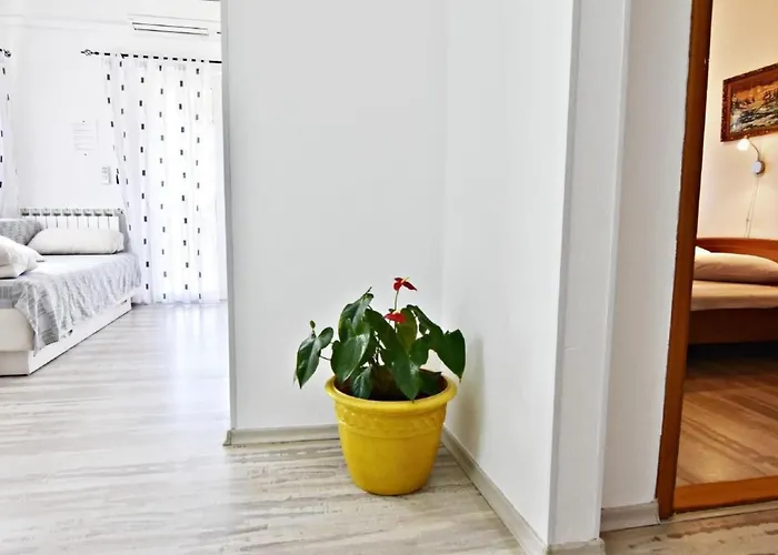 Apartamento Klimatisierte In Valica Mit Grossem Garten By Interhome