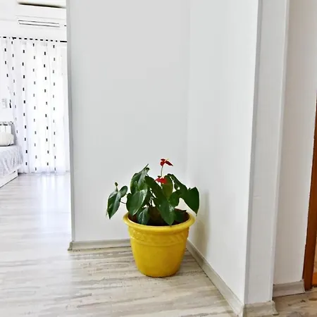 Apartman Klimatisierte In Valica Mit Grossem Garten By Interhome