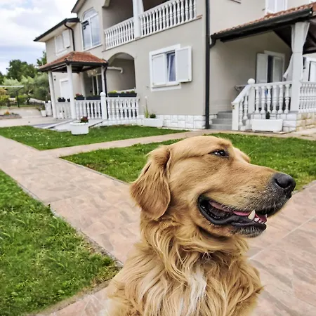 Klimatisierte In Valica Mit Grossem Garten By Interhome Apartman Umag